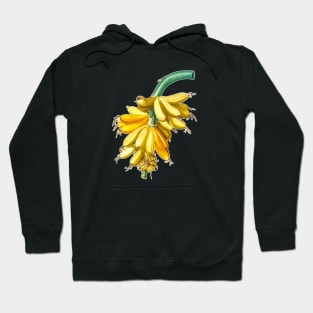 Banana bunch Hoodie